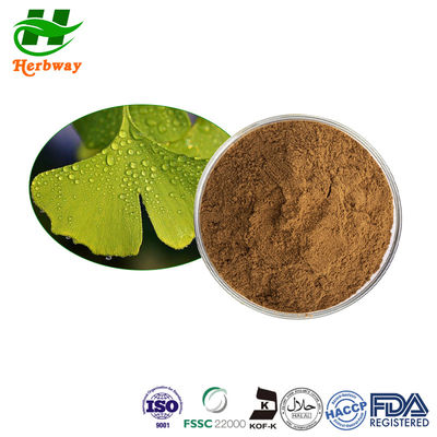 quality Ginkgo Biloba Extract / Ginkgo Extract Poeder CAS 90045-36-6 factory