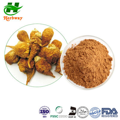 quality Botgezondheid Tongkat Ali extract poeder Maca wortel extract poeder factory